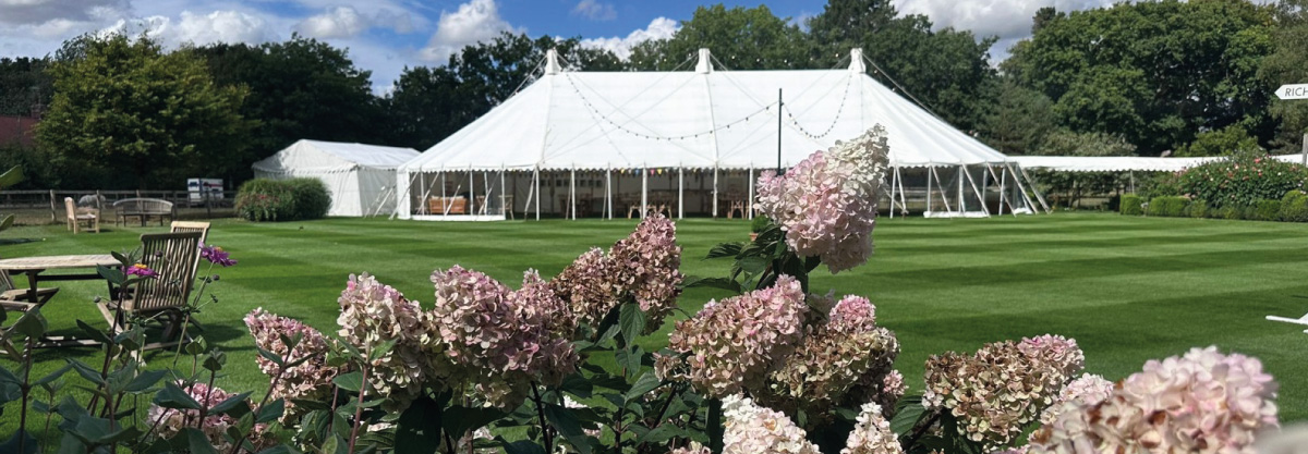 newstopimage_summersonitsway