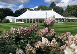 newsfeatureimage_summersonitsway